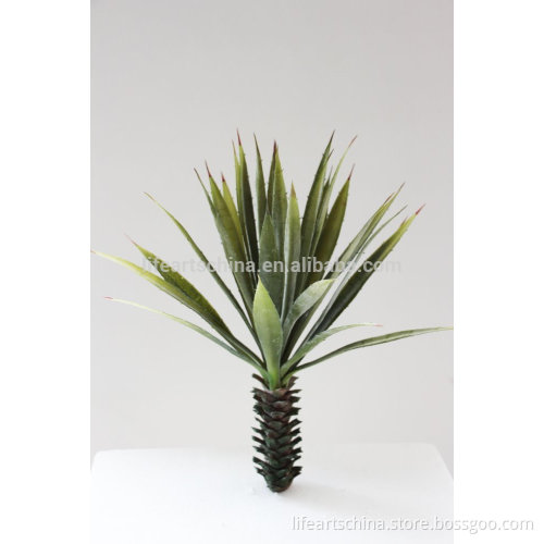 succulent plant, mini yucca, parts for plant wall